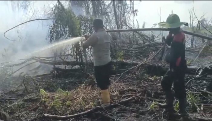 Satu Hektare Lahan Terbakar di Dumai, Polisi Amankan Pelaku Pembakaran