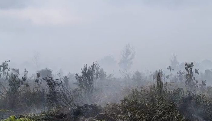 Polres Inhil Ungkap Karhutla di Tembilahan Hulu, 1 Tersangka Diamankan