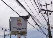 Pemkot Pekanbaru Pindahkan Kabel Fiber Optik Semrawut ke Bawah Tanah