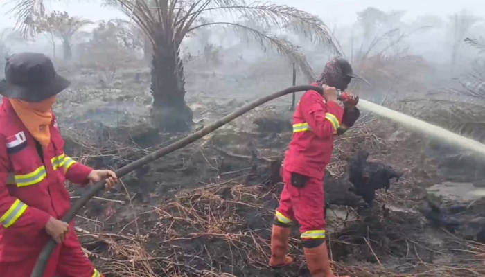 Karhutla Muncul di 10 Daerah, BPBD Riau Intensifkan Koordinasi dan Siapkan Status Siaga