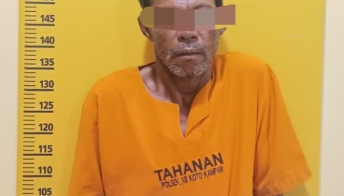Aniaya Istri Siri, Pria 47 Tahun Diborgol Polisi di Kampar