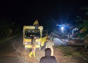 Aksi Illegal Logging di Kerumutan Digagalkan, Dua Pelaku Diamankan