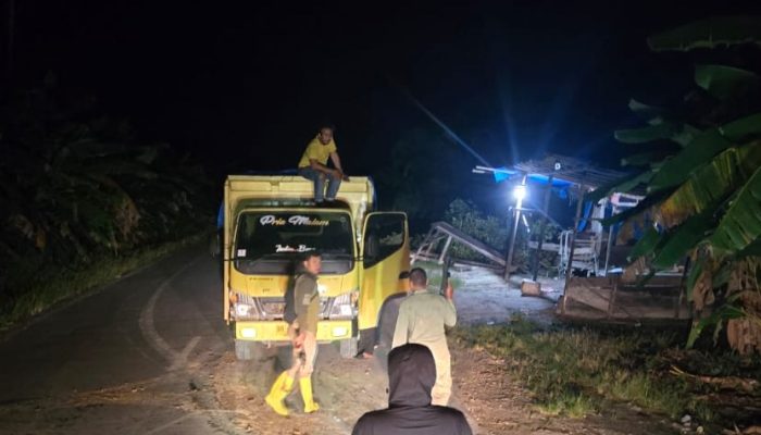 Aksi Illegal Logging di Kerumutan Digagalkan, Dua Pelaku Diamankan