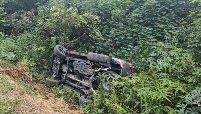 Kejar-kejaran di Rohil, Mobil Pengedar Sabu Terbalik