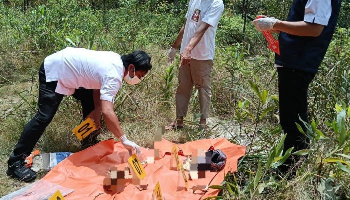 Kerangka Manusia Ditemukan di Areal PT RAPP Kuansing, Polisi Selidiki Identitas Korban