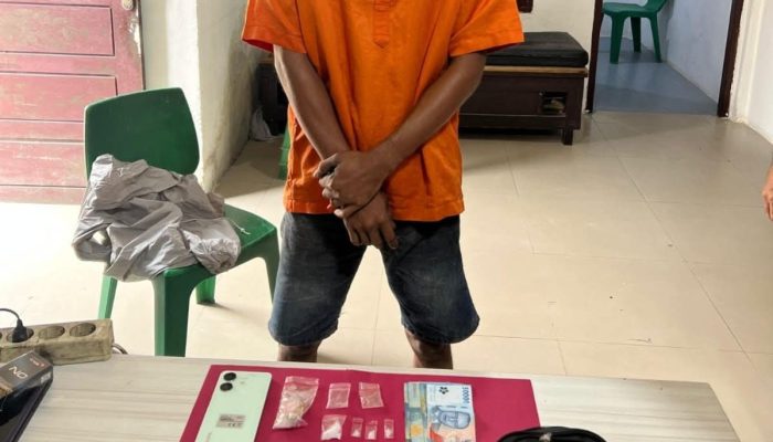 Transaksi Sabu di Kebun Sawit Terbongkar, Pelaku Ditangkap
