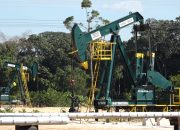 Pemprov Riau Buka Seleksi Direksi PT Riau Petroleum, Pendaftaran 9–27 Maret