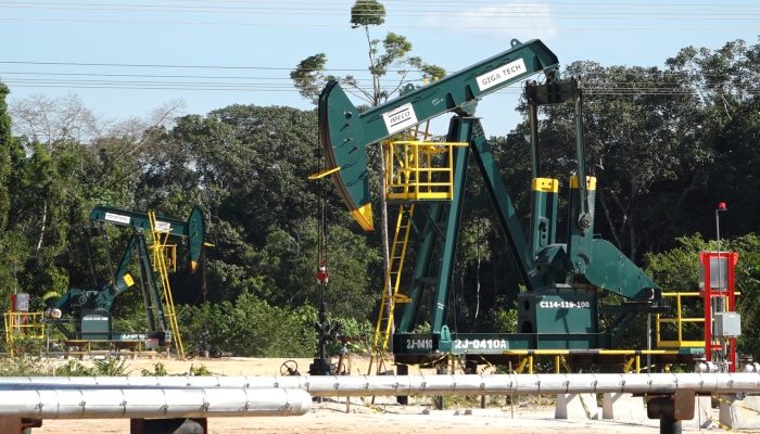 Pemprov Riau Buka Seleksi Direksi PT Riau Petroleum, Pendaftaran 9–27 Maret