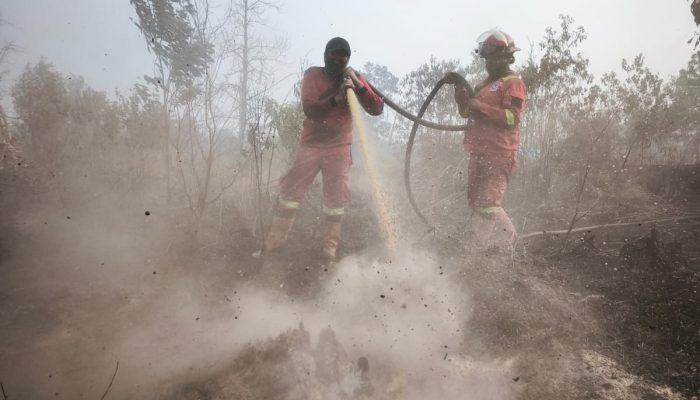 Petugas Manggala Agni Meninggal Usai Padamkan Karhutla di Bengkalis