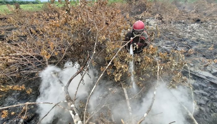 Karhutla di Rimbo Panjang Kampar Capai 17,5 Hektare, Petugas Berpacu Padamkan Api di Tengah Ramadan