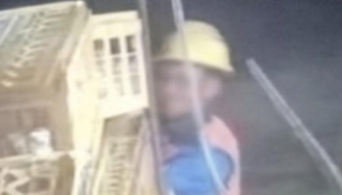 Pria Mirip Petugas PLN Diduga Gondol Ayam 20 Kg Terakam CCTV