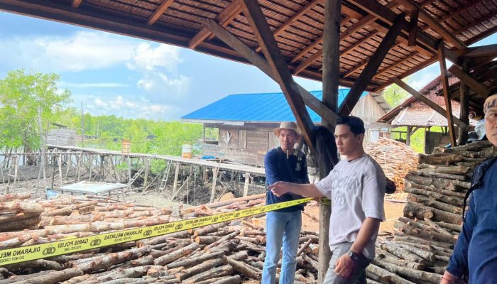 Perusakan Mangrove di Meranti Dibongkar, Polda Riau Amankan 3 Tersangka