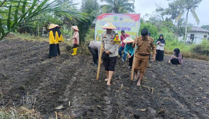 Polisi dan Warga Rohul Gotong Royong Tanam Jagung Dukung Ketahanan Pangan