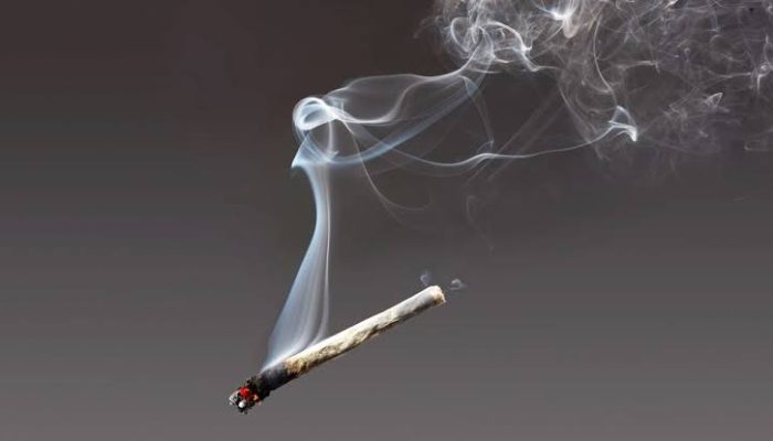 Efek Asap Ganja di Ruangan Tertutup Bisa Bikin Positif, Ini Kata Dokter