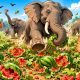 Gajah Liar Masuk Kebun Semangka di Rumbai