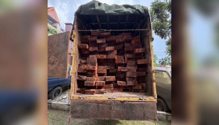 Polda Riau Bongkar Pengangkutan Kayu Ilegal dari Cagar Biosfer Giam Siak Kecil