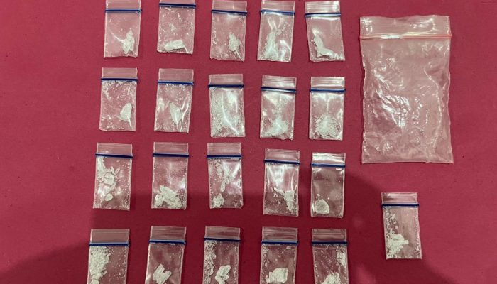 Polda Riau Tangkap Pengedar Sabu di Kampung Panger, 21 Paket Narkoba Disita
