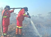 Dua Lokasi Karhutla di Indragiri Hulu Berhasil Dikendalikan