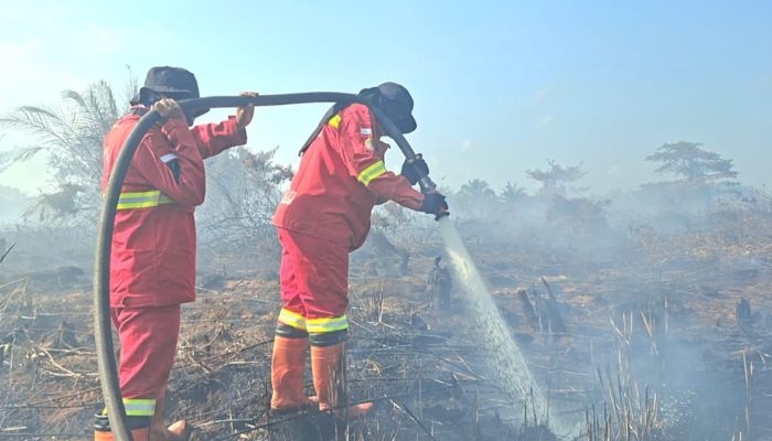 Dua Lokasi Karhutla di Indragiri Hulu Berhasil Dikendalikan