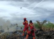 Karhutla Riau Meluas, 11 Daerah Tetapkan Status Siaga Darurat