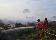 Hotspot di Riau Melonjak Jadi 67 Titik, Bengkalis dan Rohil Terbanyak