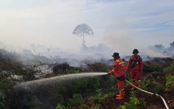 Hotspot di Riau Melonjak Jadi 67 Titik, Bengkalis dan Rohil Terbanyak
