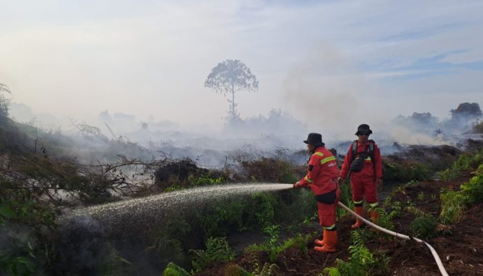 Hotspot di Riau Melonjak Jadi 67 Titik, Bengkalis dan Rohil Terbanyak