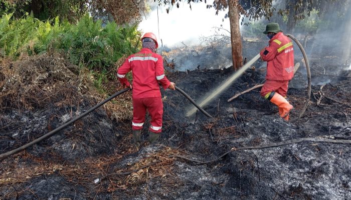 Satu Titik Karhutla Muncul di Kampar, Petugas Bergerak Cepat Lakukan Pemadaman