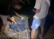 Polda Riau Sita 7 Kg Sabu Terkubur di Tanah dan Kebun Sawit, Tiga Tersangka Ditangkap