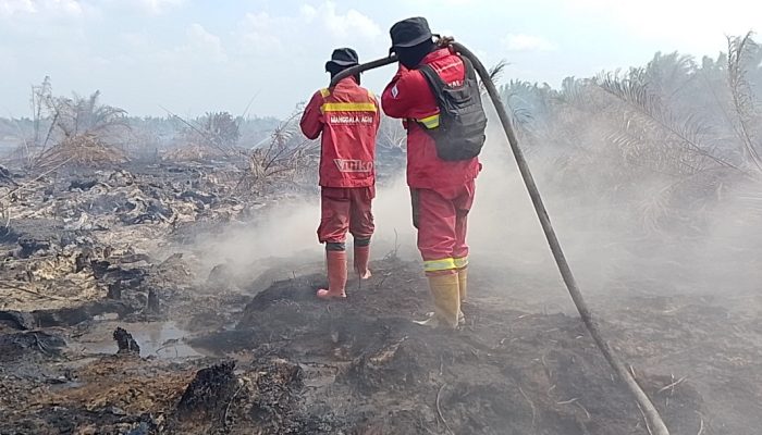 Karhutla Riau Meluas, Manggala Agni Tangani Lima Lokasi