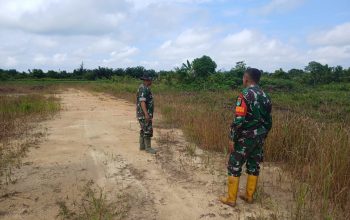 Patroli Rutin Babinsa Sasar Wilayah Rawan Karhutla di Kampar