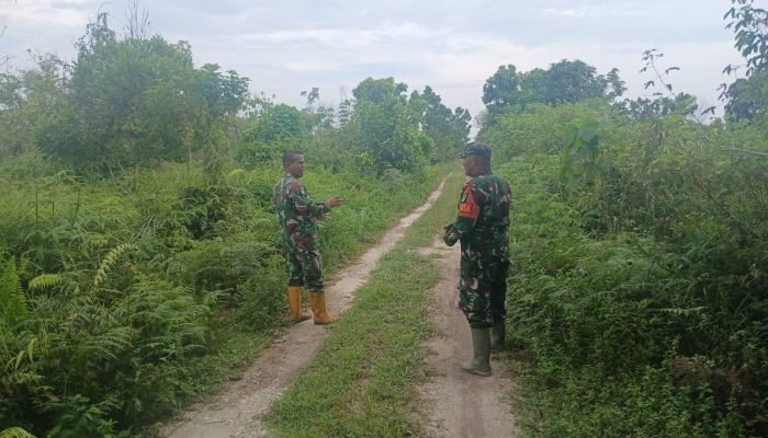 Babinsa Sisir Wilayah Rawan Karhutla di Kecamatan Tambang