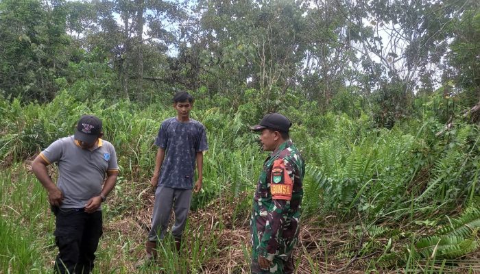Cegah Karhutla, Babinsa Sisir Kawasan Perkebunan di Telayap